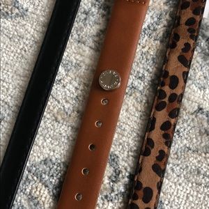 Steve Madden belts- set of 3!